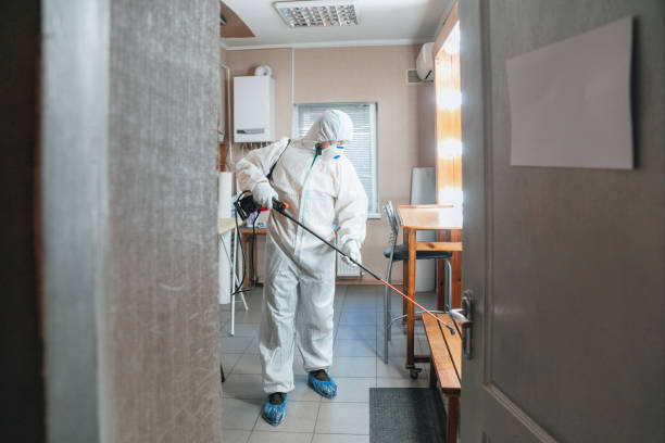Best Mold Odor Removal Services  in Acton, CA