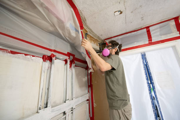 Forensic Mold Investigation in Acton, CA