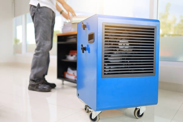 Best HVAC Mold Inspection and Cleaning  in Acton, CA